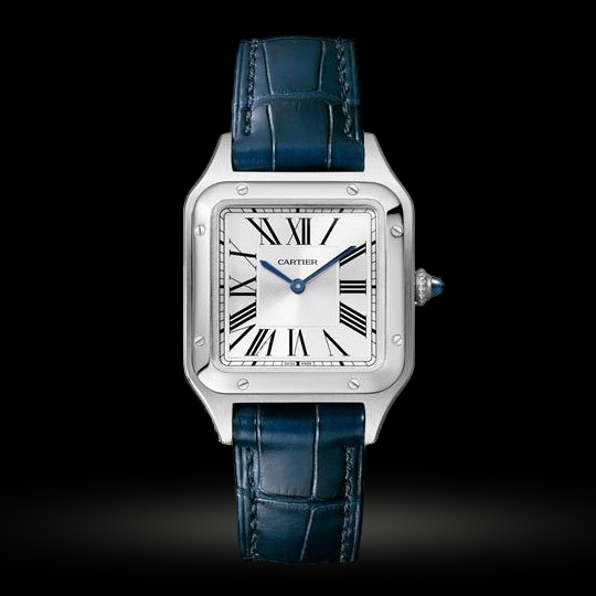 Replica Cartier Santos Dumont Klein WSSA0023 Replica Cartier Santos Dumont Klein WSSA0023