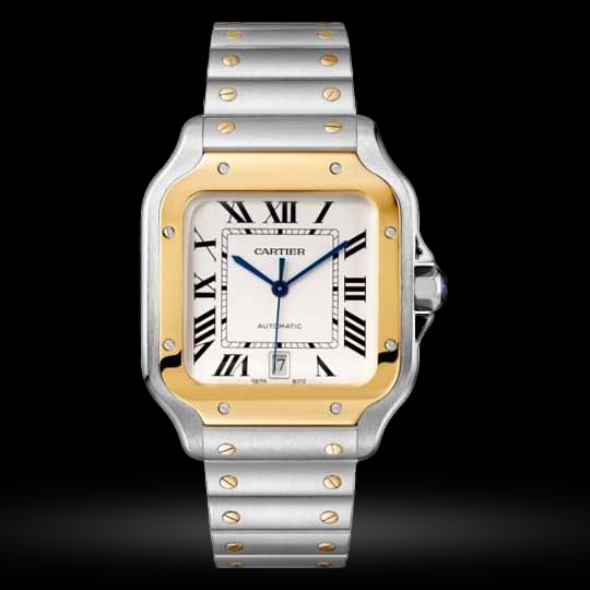 Replica Cartier Santos 2018 Groß W2SA0006